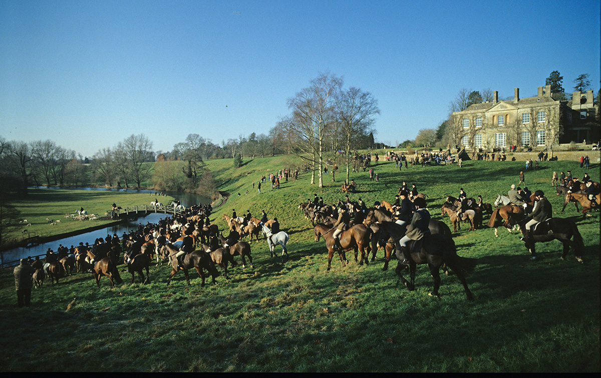 Equestrian Portrait