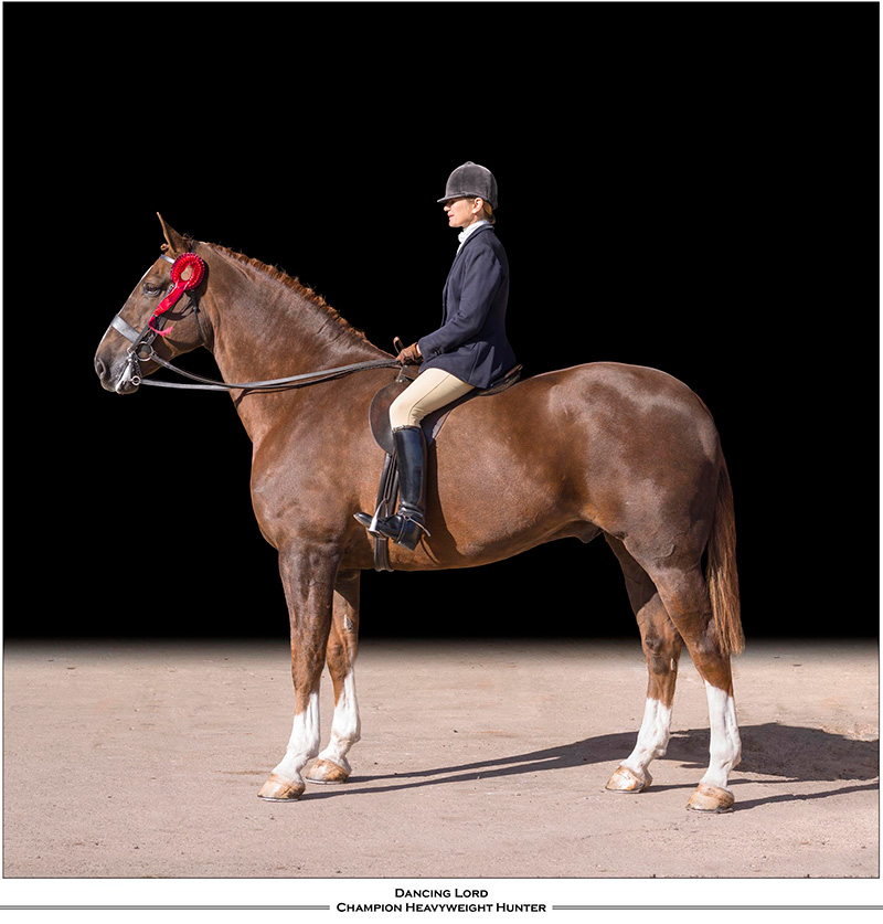 Equestrian Portrait