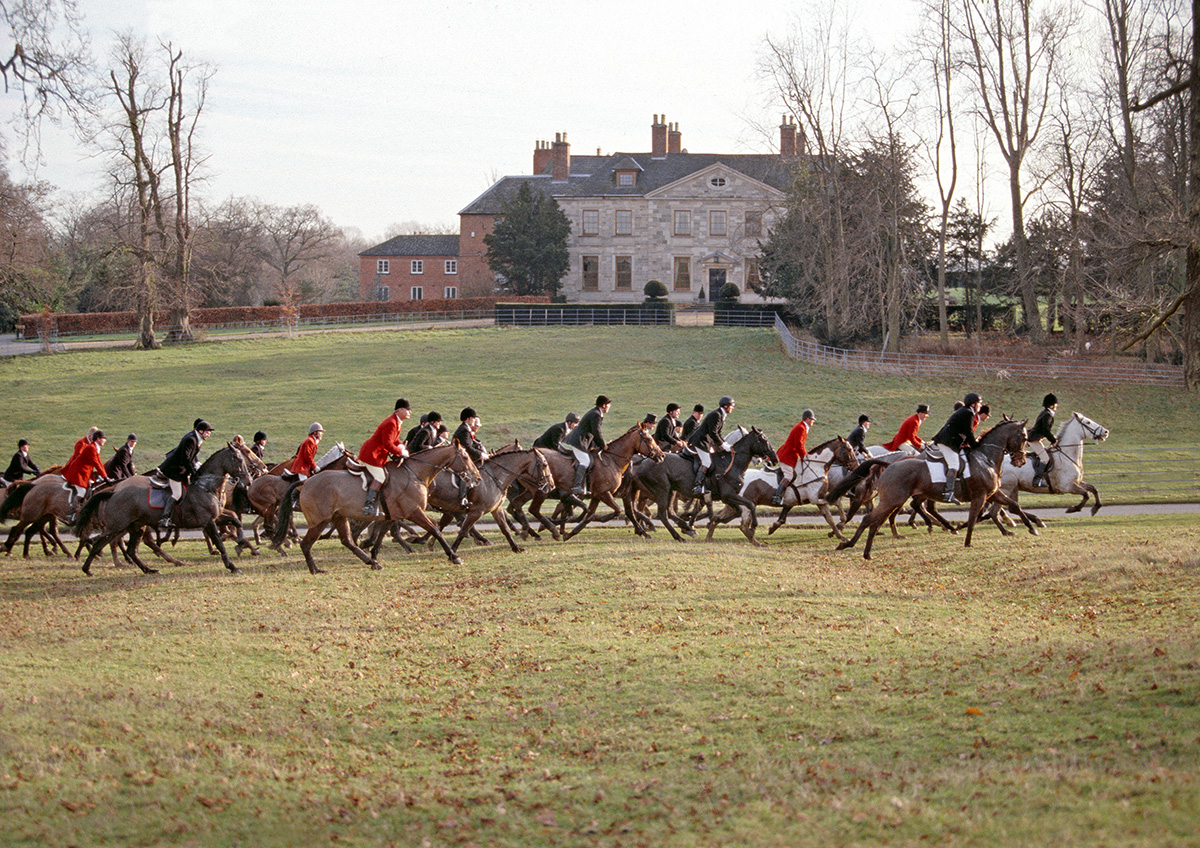 Equestrian Portrait