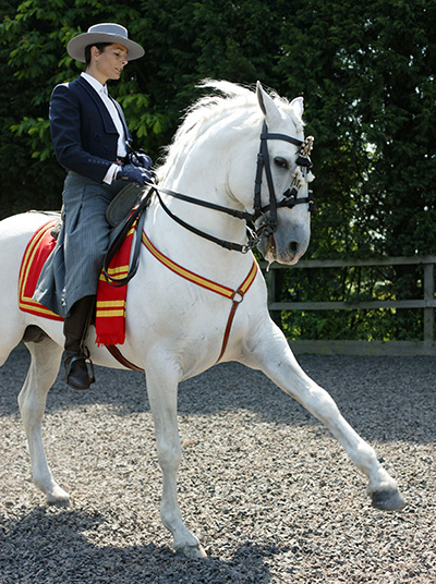 Equestrian Portrait