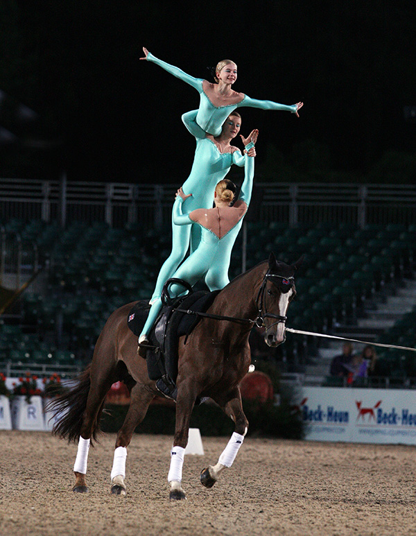 Equestrian Portrait