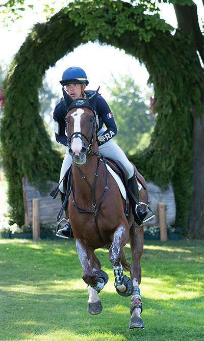 Equestrian Portrait
