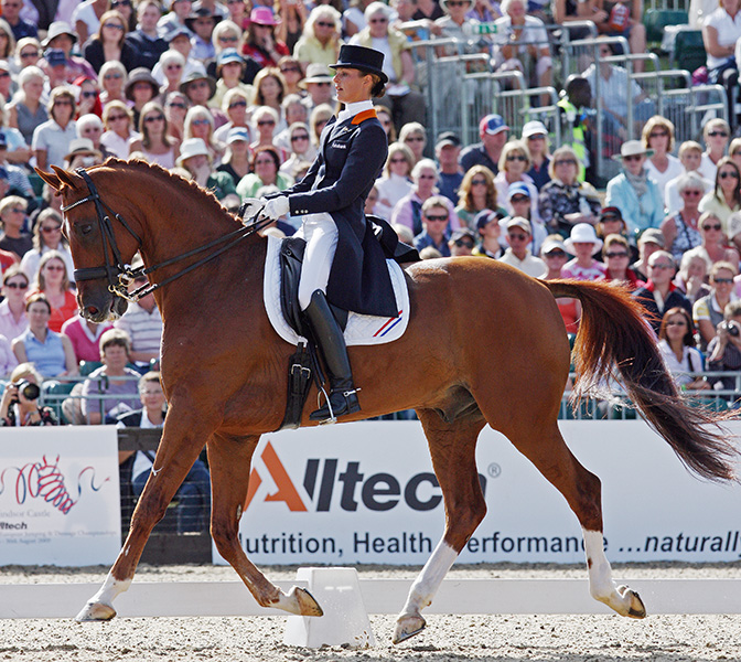 Equestrian Portrait