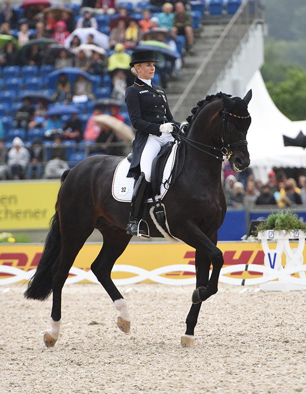 Equestrian Portrait