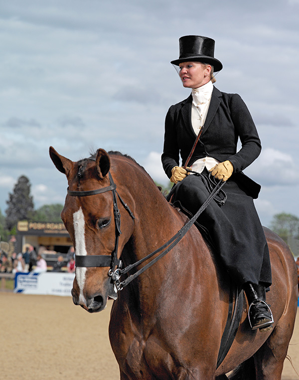 Equestrian Portrait